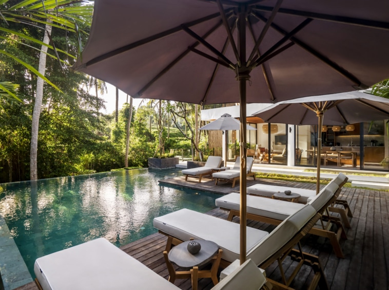 Pool with jungle view of Plumeria Villa Ubud Bali