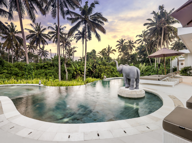 Pool View at Villa Cevennes Villa Ubud Bali