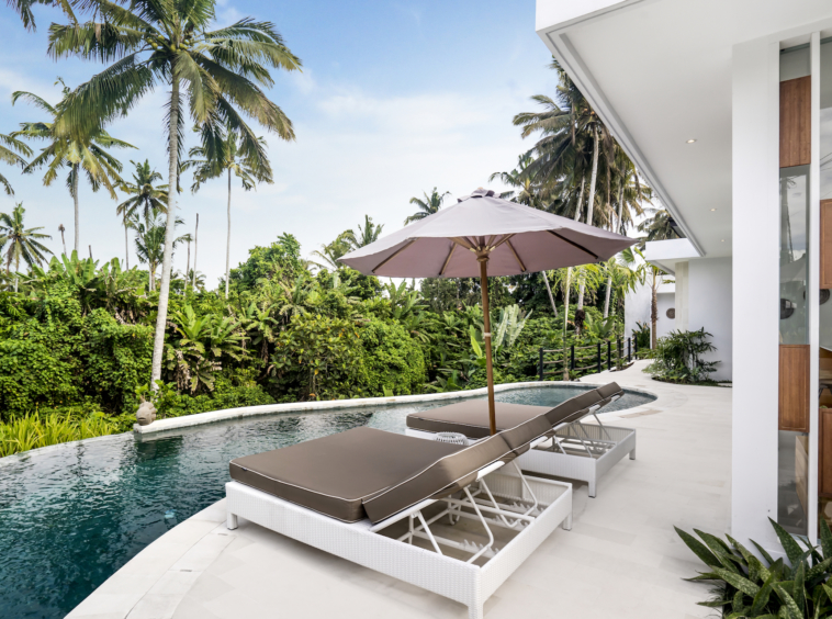 Pool with jungle view of Cevennes Villa Ubud Bali