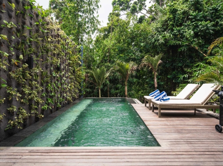 Canggu Villa Kenji Pool Day