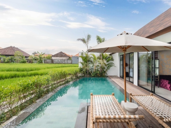 Canggu Villa Rocca Bella Villa 2 - Pool (2)