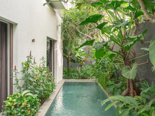 Canggu Villa Ixora - Pool
