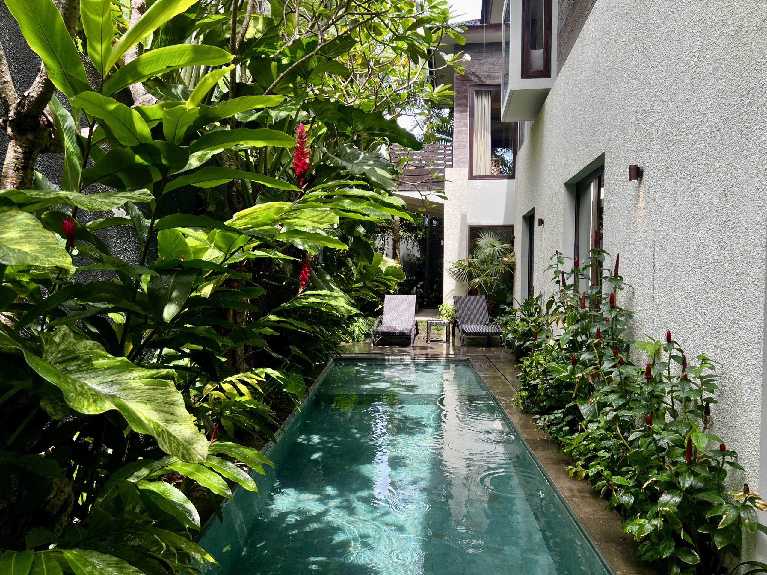 Canggu Villa Ixora - Pool Outdoor